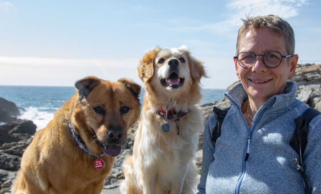 Zwei Hunde mit Mensch